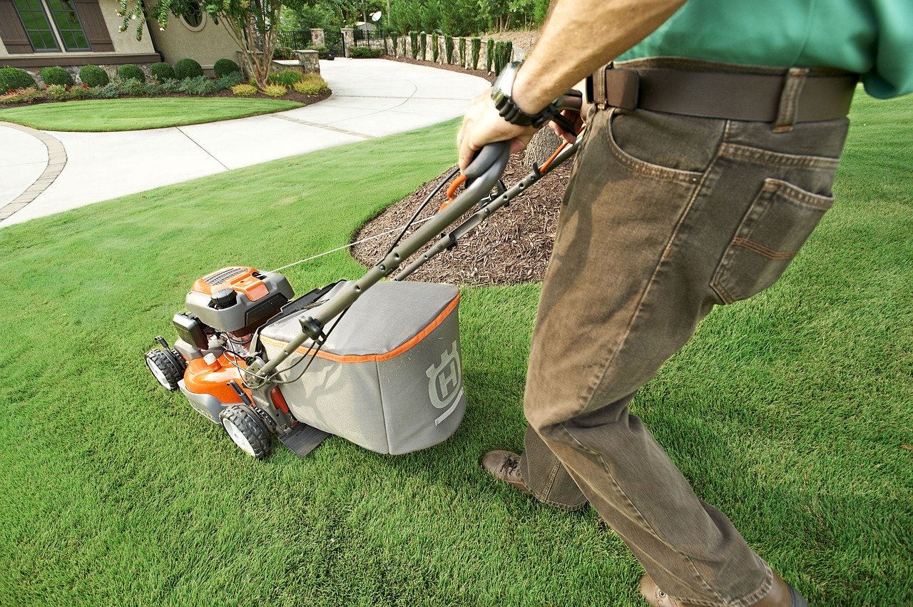 Your Essential Lawn Care Guide