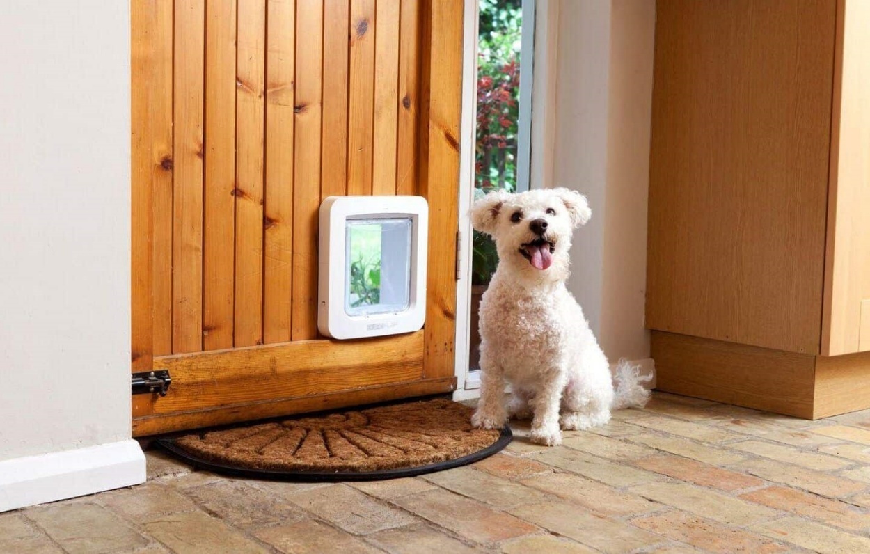 Pet Doors - From Simple to Smart