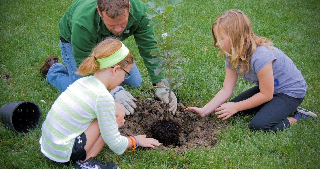 Planting Perennials, Trees, and Shrubs this Fall