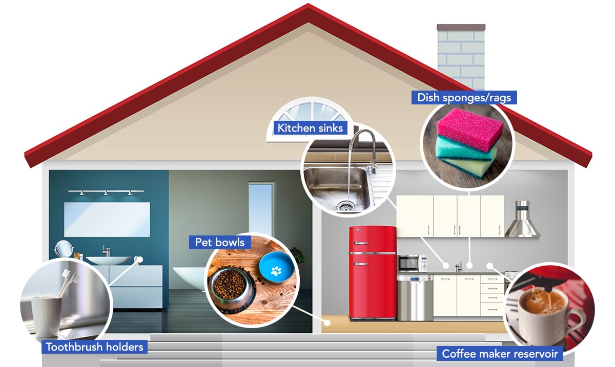 The Germs are Coming from Inside the House