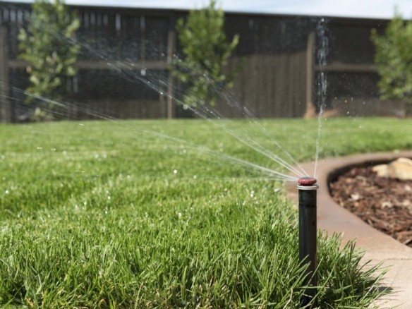 Conserve Water on Your Summer Landscaping
