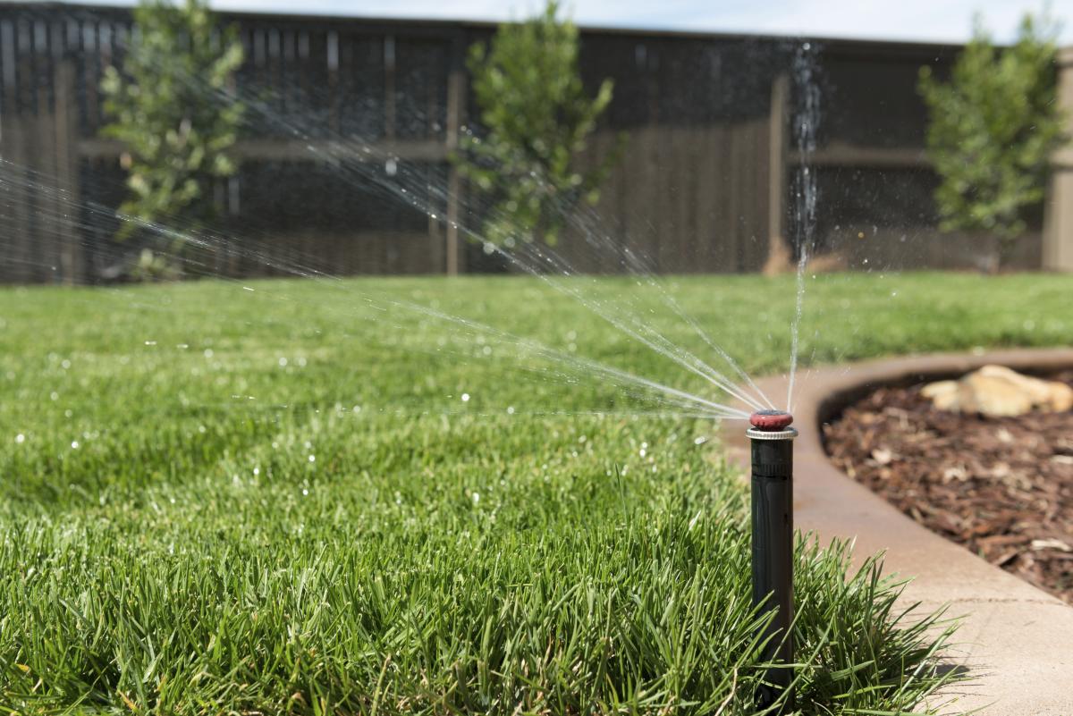Conserve Water on Your Summer Landscaping