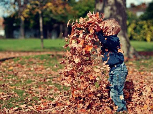 Fun Activities to Get the Most out of Fall